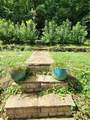 654 Low Gap Road - Photo 13