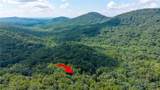 51 Trout Lily Trail - Photo 3