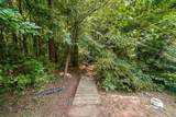 44 Copper Leaf Way - Photo 50