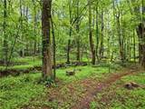 135 Laurel Ridge Drive - Photo 76