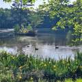 2161 Lakeway Drive - Photo 8