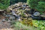 2846 Pleasant Oak Drive - Photo 46
