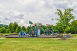173 Indian Oak Drive - Photo 73