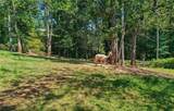 3204 Reavis Mountain Road - Photo 56