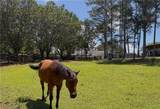 3204 Reavis Mountain Road - Photo 67