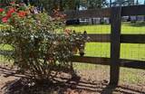 3204 Reavis Mountain Road - Photo 69