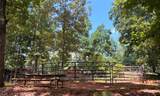 3204 Reavis Mountain Road - Photo 80