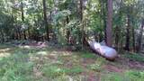 105 Rusty G Place - Photo 5