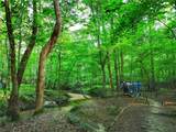 5746 High Meadow Drive - Photo 98