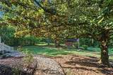 5553 Reynard Trail - Photo 48