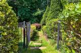408 Larkspur Drive - Photo 86