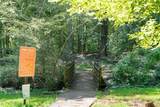 1416 Deerwood Drive - Photo 50