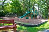 3182 Lake Avenue - Photo 60