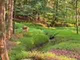 1050 Branch Road - Photo 88
