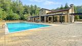 5554 Modena Drive - Photo 37