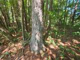 5170 Hurt Bridge Road - Photo 25