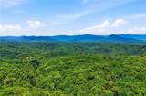 290 Sharptop Ridge Road - Photo 61