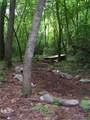 137 Bear Drive - Photo 42