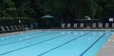 15000 Crabapple Lake Drive - Photo 39