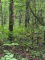 00 Chopped Oak Road - Photo 11