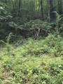 00 Chopped Oak Road - Photo 12