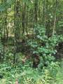00 Chopped Oak Road - Photo 16