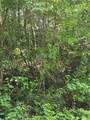 00 Chopped Oak Road - Photo 17