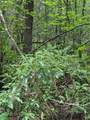 00 Chopped Oak Road - Photo 9