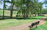 1676 Branch Creek Dr-Lot 110 - Photo 19