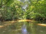 357 Goldmine Trail - Photo 4