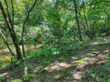 357 Goldmine Trail - Photo 61