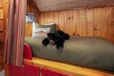 325 Whitewater Falls Trail - Photo 46