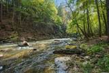 325 Whitewater Falls Trail - Photo 7