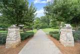 194 Red Buckeye Avenue - Photo 43