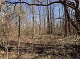 398 Mud Creek Road - Photo 19
