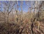 398 Mud Creek Road - Photo 7