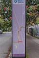 42 Walthall Street - Photo 10