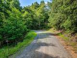LOT 26 Toccoa Preserve - Photo 10