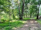 LOT 26 Toccoa Preserve - Photo 14