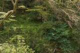 0 Hicks Ford Road - Photo 10
