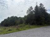 0 Fauna/John Wayne - Photo 13