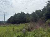 0 Fauna/John Wayne - Photo 15