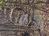 LOT26 Oak Ridge Way - Photo 38