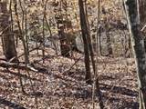 LOT26 Oak Ridge Way - Photo 40