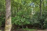 110 Bitternut Circle - Photo 49