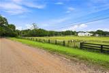 13798 Brittle Road - Photo 10
