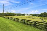 13798 Brittle Road - Photo 11