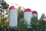 13798 Brittle Road - Photo 18