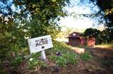 13798 Brittle Road - Photo 21