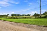 13798 Brittle Road - Photo 7